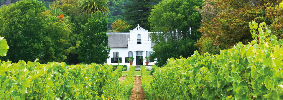Weingut Constantia Valley