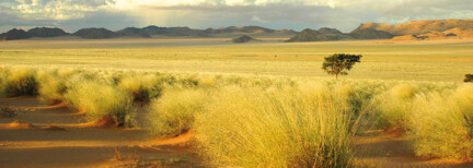 Zauberhafte Gartenroute & Karoo