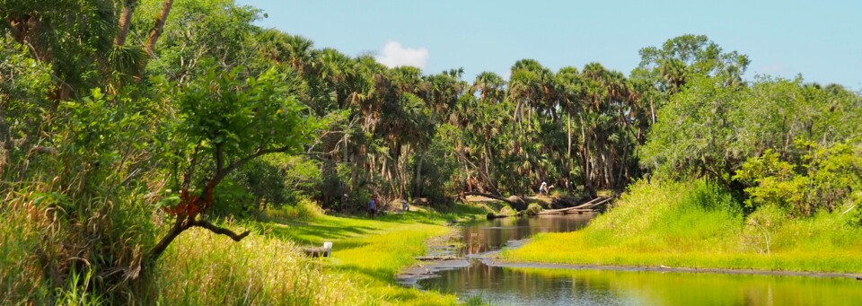 Myakka River State Park