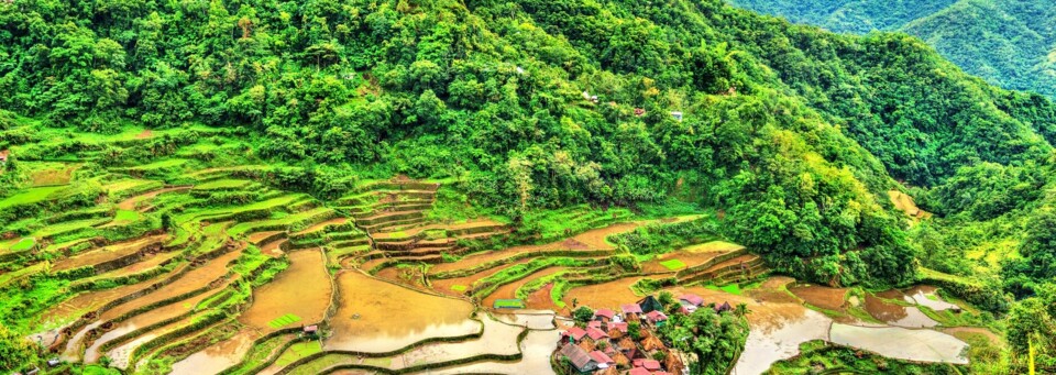 Reisterrassen von Banaue auf der Insel Luzon
