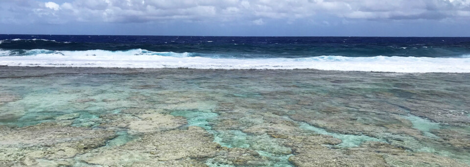 Cook Inseln Reisebericht - Meer und Riff auf Insel Atiu
