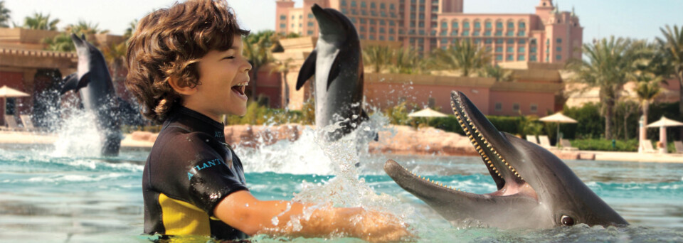 Dolphin Bay Atlantis The Palm Dubai
