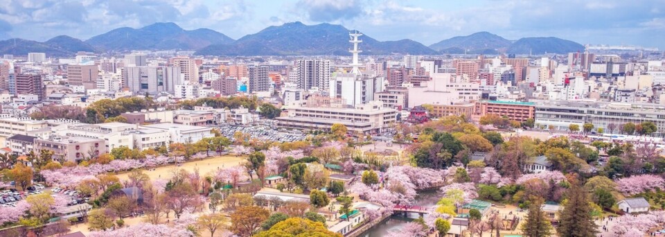 Himeji Kirschblüte