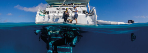 Pro Dive - 3 Tage PADI-Tauchkreuzfahrt  für Fortgeschrittene