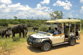 Pirschfahrt im Chobe Nationalpark in Botswana